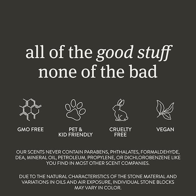Drift Car Air Freshener - Stone Air Freshener - Car Odor Eliminator - Apple Picking Scent Starter Kit