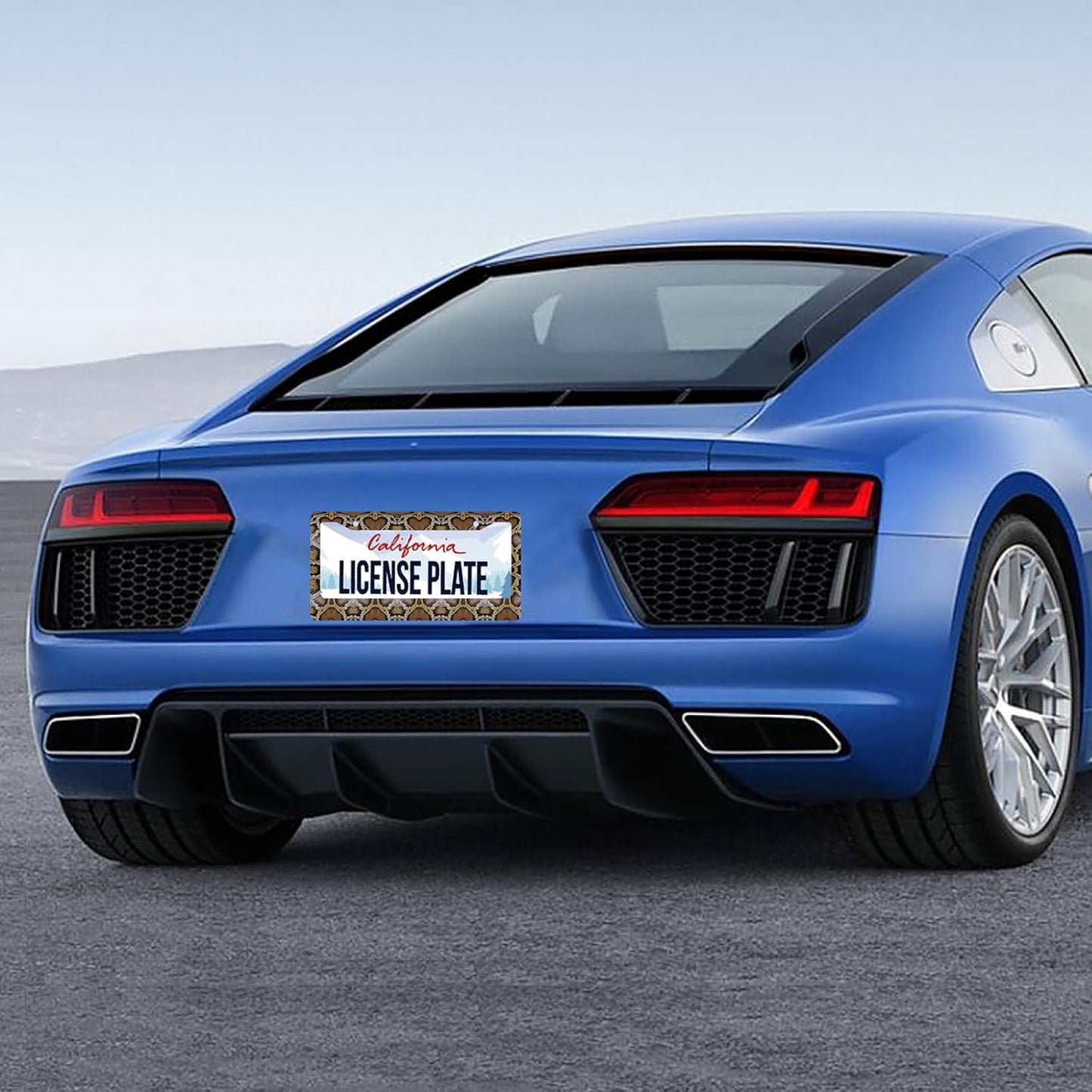 Snake Printed License Plate Frame Animal Skin Texture License Plate Stainless Steel Funny License Plate Holder Colorful Car Accessory with Screws Car Decoration 12.3" x 6.3" Men Women