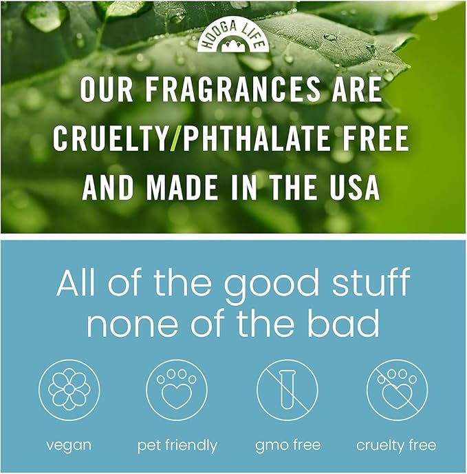 HoogaLife Car Air Freshener Hanging 2 Pack - Hotel Collection Diffuser Oil Inspired by Cabane & Rltz. CarIton Hotel - NO.1012 Fragrance Oil, Car Fresheners for Women Made in USA (081)